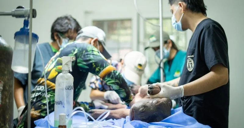 Baby "cocaine hippo" linked to infamous drug lord is rescued in Colombia
