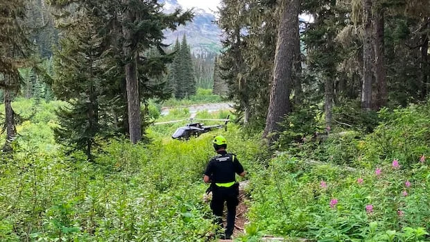 Hiker escapes after being attacked by grizzly bear in backcountry near Pemberton, B.C.