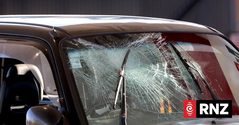 Five hurt, person arrested as witnesses say SUV hit cyclists in Epsom, dog killed