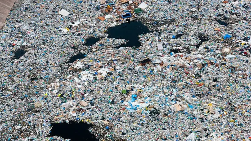 Pacific garbage patch spans 1.6 million sq km as fishing gear dominates debris