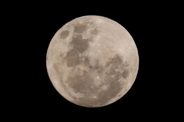 SpaceX rocket crashes into the moon, scientists confirm