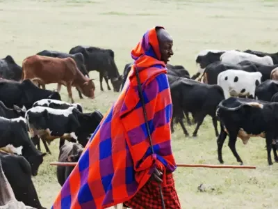 Whose conservation, whose development? The Maasai struggle over land in northern Tanzania