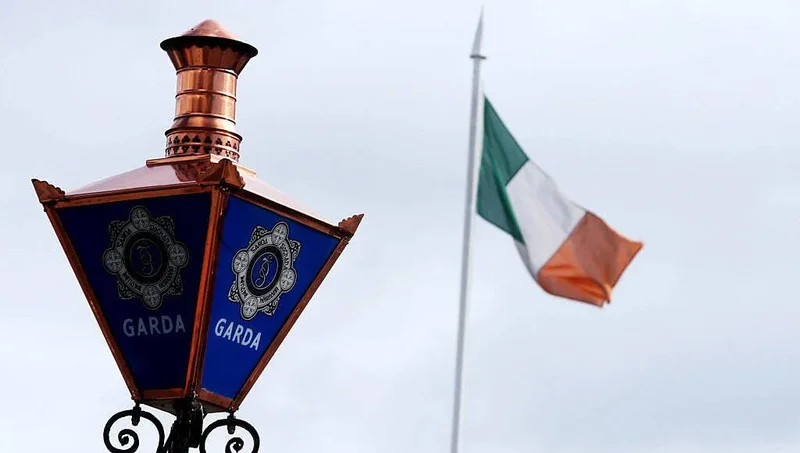 Cork-based garda awarded almost €91,000 for injuries after suspect 'went beserk'