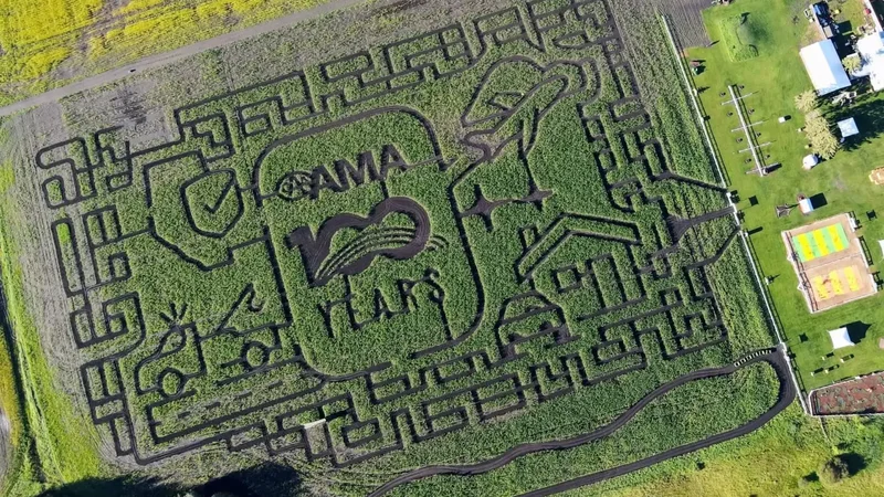 Edmonton Corn Maze opens as 2026 design celebrates AMA’s 100th anniversary
