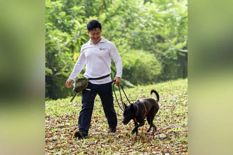 AVS to hold pet adoption drive in Singapore’s CBD for the first time