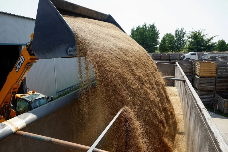 Ukraine’s farmers despair as Russia’s Black Sea blockade traps their harvest