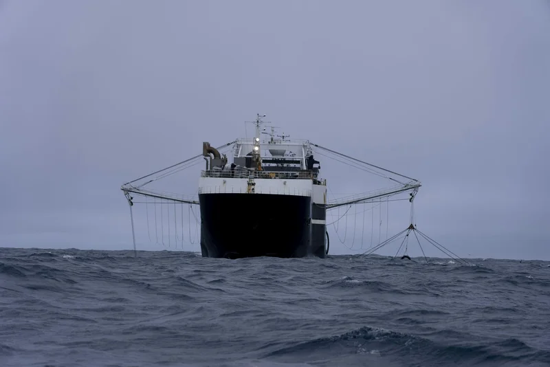 Antarctic krill fishing is now concentrated in the exact pattern conservation rules were designed to prevent