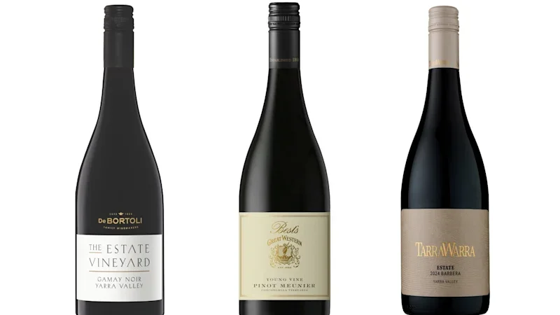 Three easygoing lighter-bodied red wines to try (including pinot noir’s shy cousin)