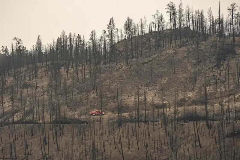 Wildfires expose accessibility failures: advocates
