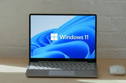 Microsoft will make Windows work well with just 8GB RAM. We desperately need it