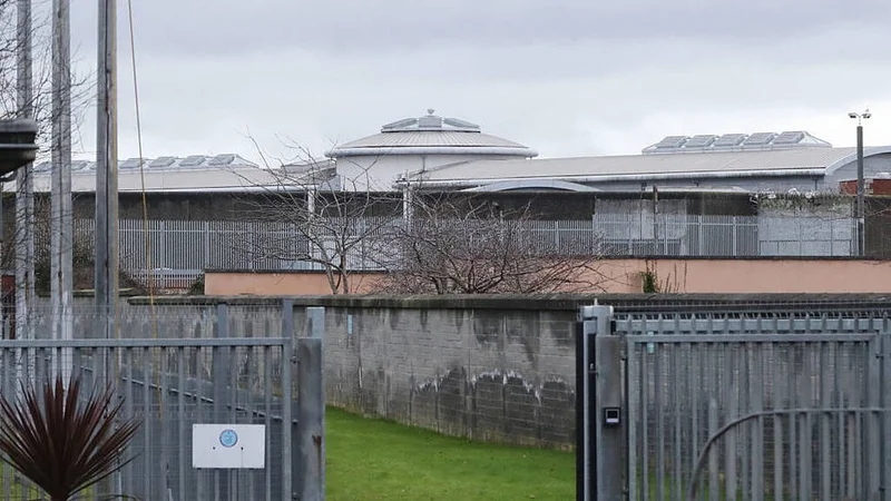 Man dies in custody at Wheatfield Prison