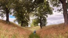 Temperatures to drop briefly ahead of next UK heatwave