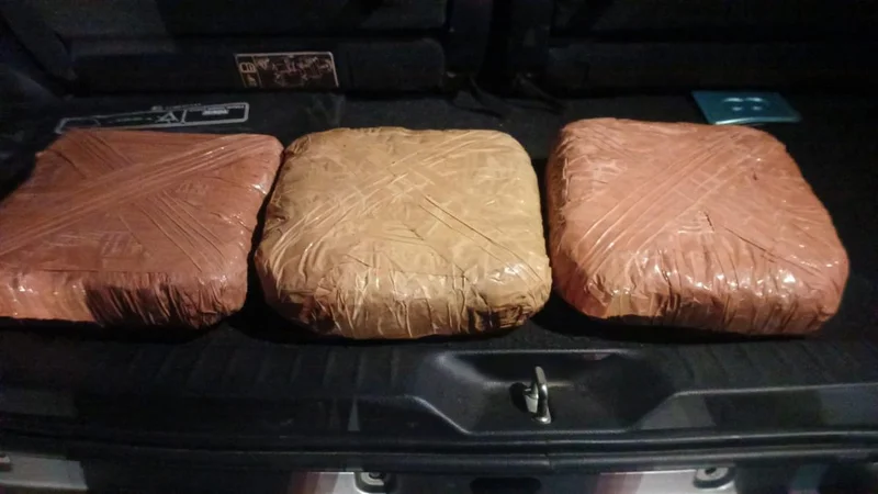Odisha-Hyderabad drug trafficking network busted, woman among three held with 6 kg ganja