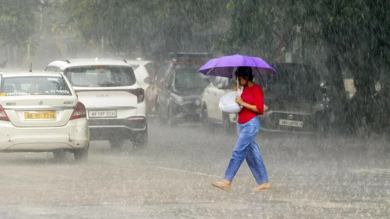 Incessant rain pours misery on Kolkata, adjoining areas; waterlogging, traffic snarls disrupt life