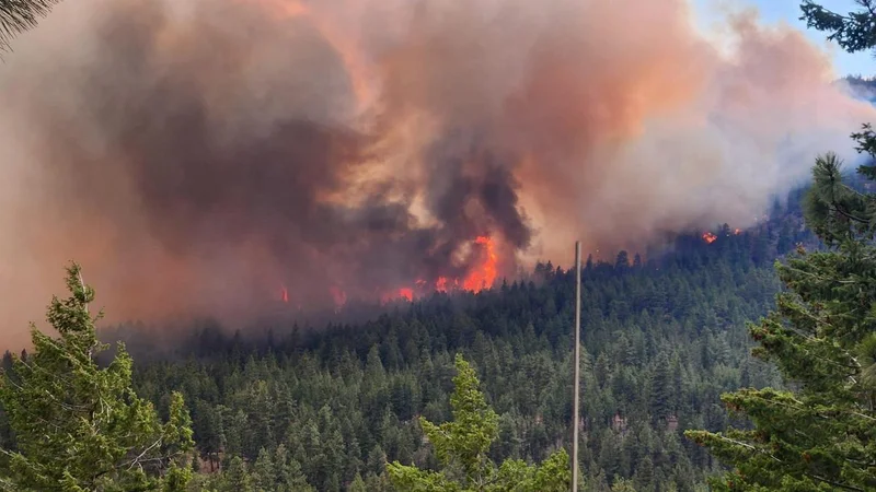 Canadian wildfire that forced 20,000 to flee may signal 'new normal'