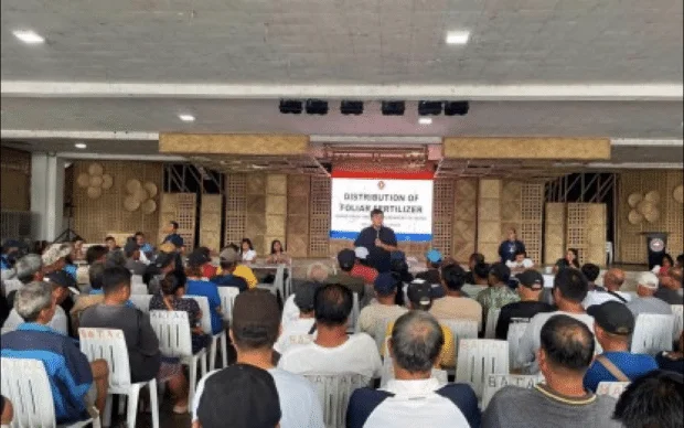 Batac distributes liquid fertilizer to sustain farmers’ yields, income