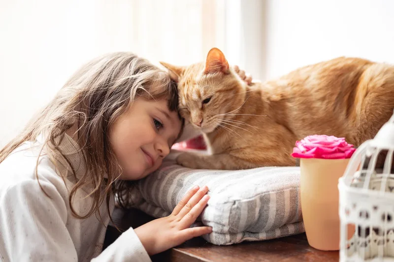 Cats are the only common pet linked to more mental health problems in children, study finds