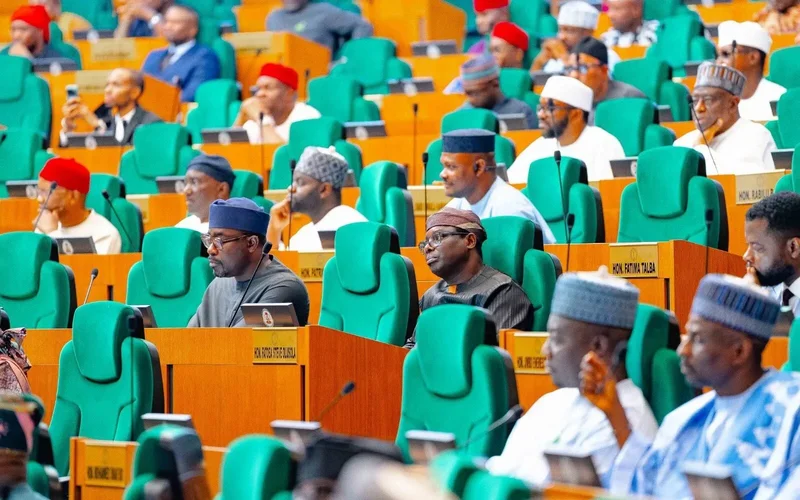 Lawmakers demand probe into Osun election violence, security deployment