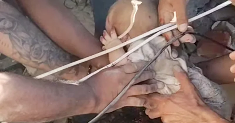 Baby rescued from rubble in Colombia after devastating earthquake