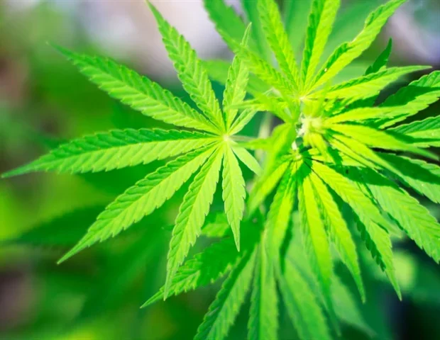 Medical cannabis compound alleviates nightmares associated with PTSD