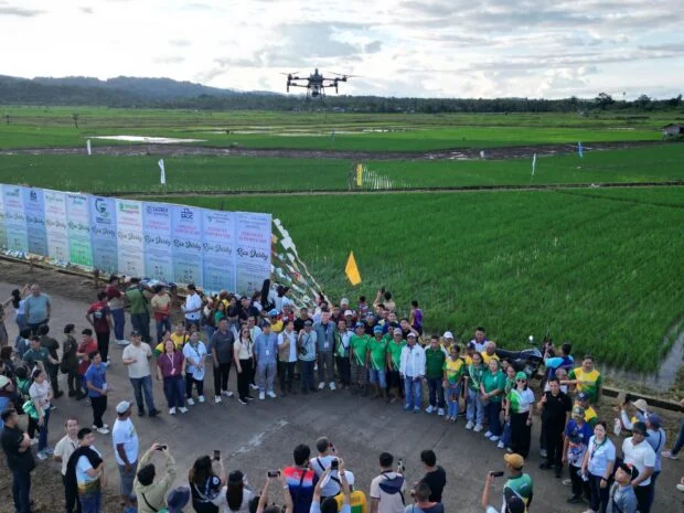 Rice derby showcases modern farming tech in Eastern Samar