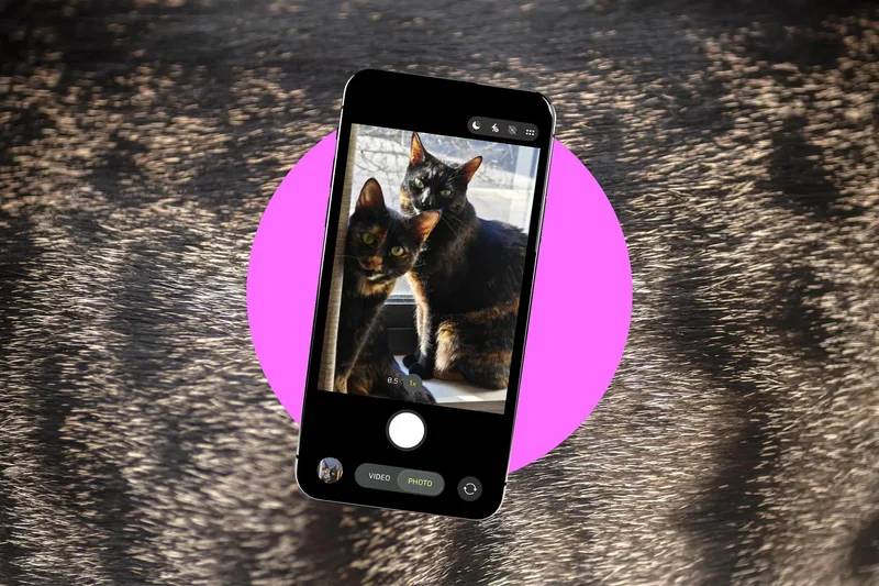 How to take better photos of your pets
