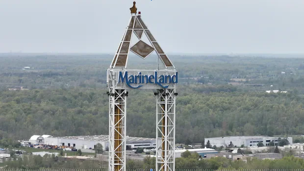 More belugas from Marineland in Niagara Falls, Ont., head to new home in U.S.