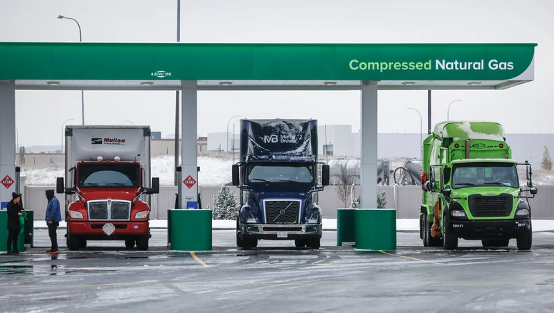 Alberta government shuts down trucking company linked to fatal collision in Manitoba