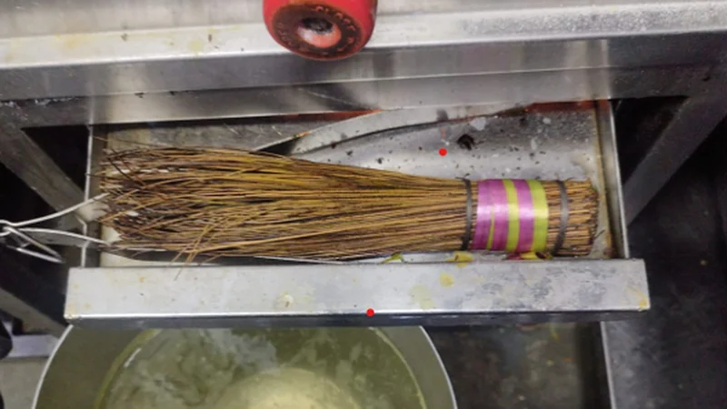 Cockroaches in kitchen, ‘unsafe’ food storage: FDA suspends food licences of more Mumbai eateries