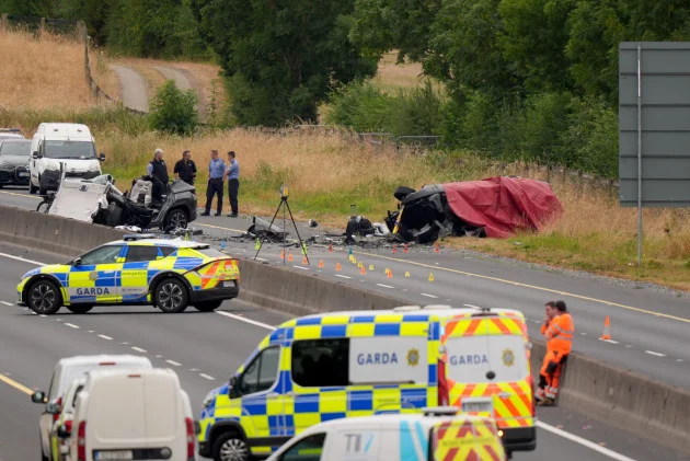 Black BMW drove wrong-way down M9 up to three times before fatal 3am crash