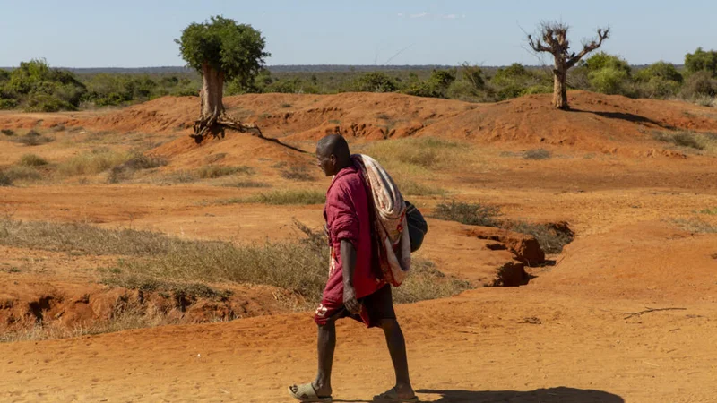 Cop17 aims to restore land and hope in fight against desertification