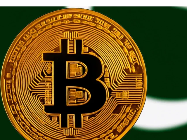 Pakistan's crypto gamble
