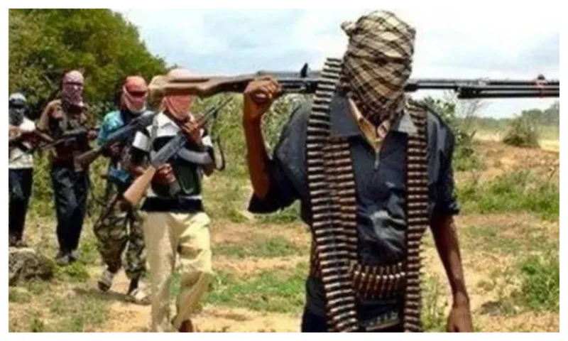 Benue man abandons farm after bandits demand N500,000 before harvesting crops