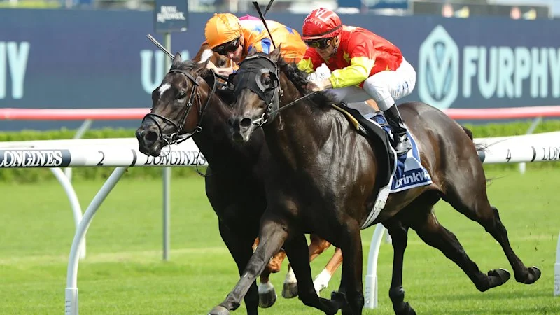Race-by-race preview and tips for Wednesday’s Canterbury meeting