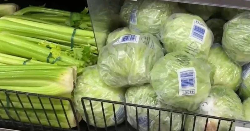 First deaths linked to cyclospora parasite reported as outbreak cases rise