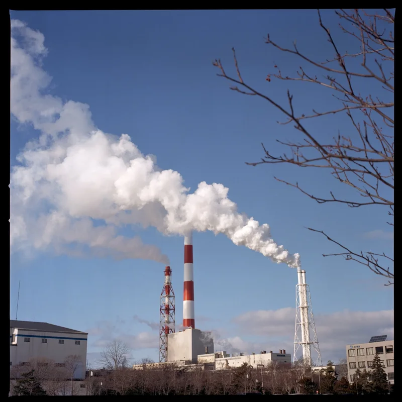 Chilean Giants Team Up to Make Synthetic Fuels From Hydrogen and Pulp-Mill CO2