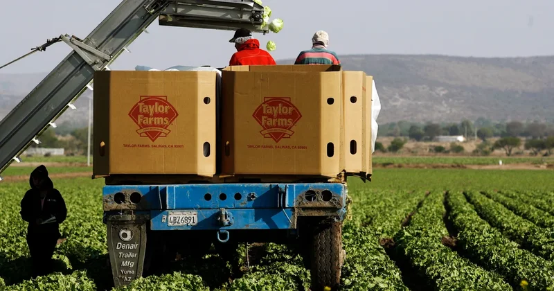 Cyclospora outbreak tied to lettuce now linked to 15 states, CDC says