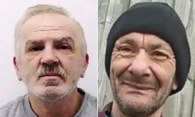 Convicted Romanian murderer who came to UK and killed man after 'strikingly similar' crime in his home country is jailed for life
