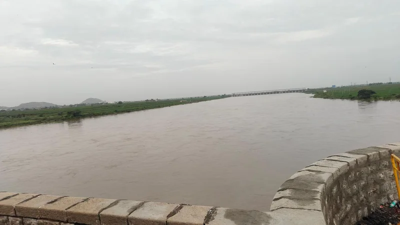 Krishna and Bhima receive heavy inflows following widespread rains