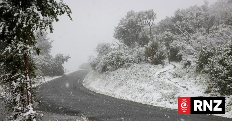 MetService warns motorists of snow on roads
