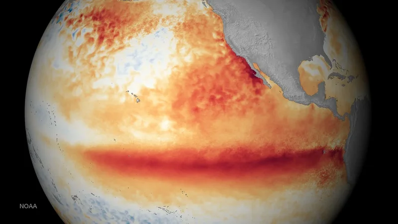 Why this El Niño will be the largest in living memory