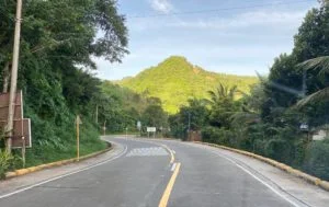 Mounting Transcentral Highway crashes: LTO, HPG map solutions