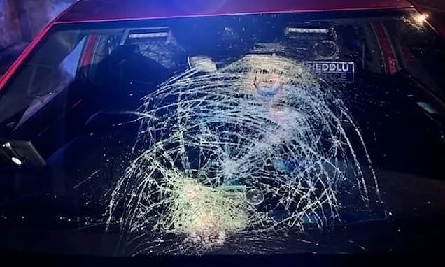 Instant karma! Moment thug who hurled glass bottles at moving police car is arrested