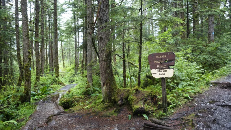 Dismantling the Roadless Rule threatens to disrupt wildlife and water in US