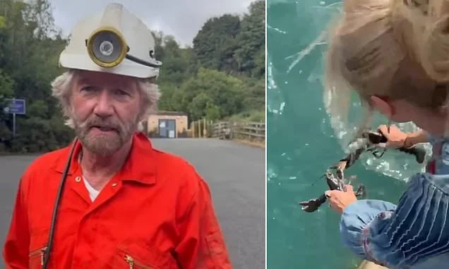 Noel Edmonds responds to backlash over viral lobster clip with defeated post after being criticised for buying the live animals from a supermarket and releasing them into the sea