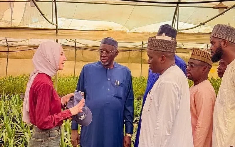 Jigawa partners Egyptian firm on date palm and potato tissue culture technology