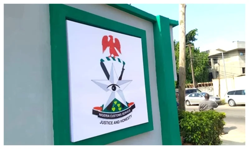 Customs seizes N362.2m worth of pangolin scales, others in Adamawa