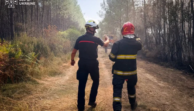 In France, Ukrainian emergency crews extinguish forest fire posing threat to settlement