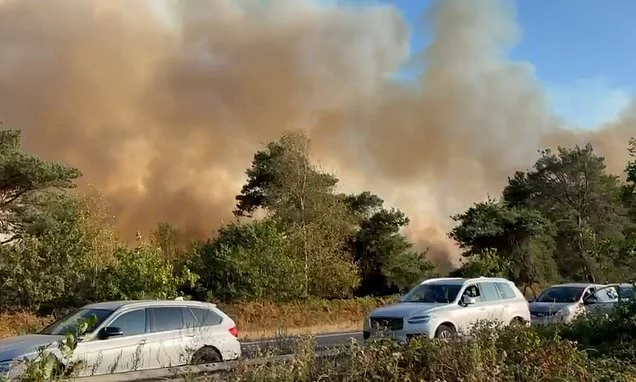 Families are forced to abandon their cars and for walk miles as burning van sparks huge wildfire on dual carriageway - with smoke visible from 30 miles away as England suffers record drought