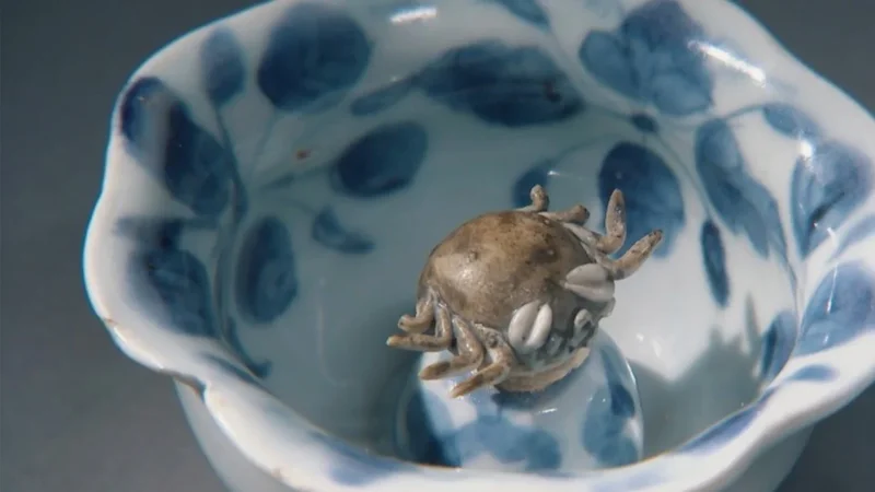 Escape artist: ancient Chinese cup features ‘swimming’ crab evolved from ‘dancing fairy cup’